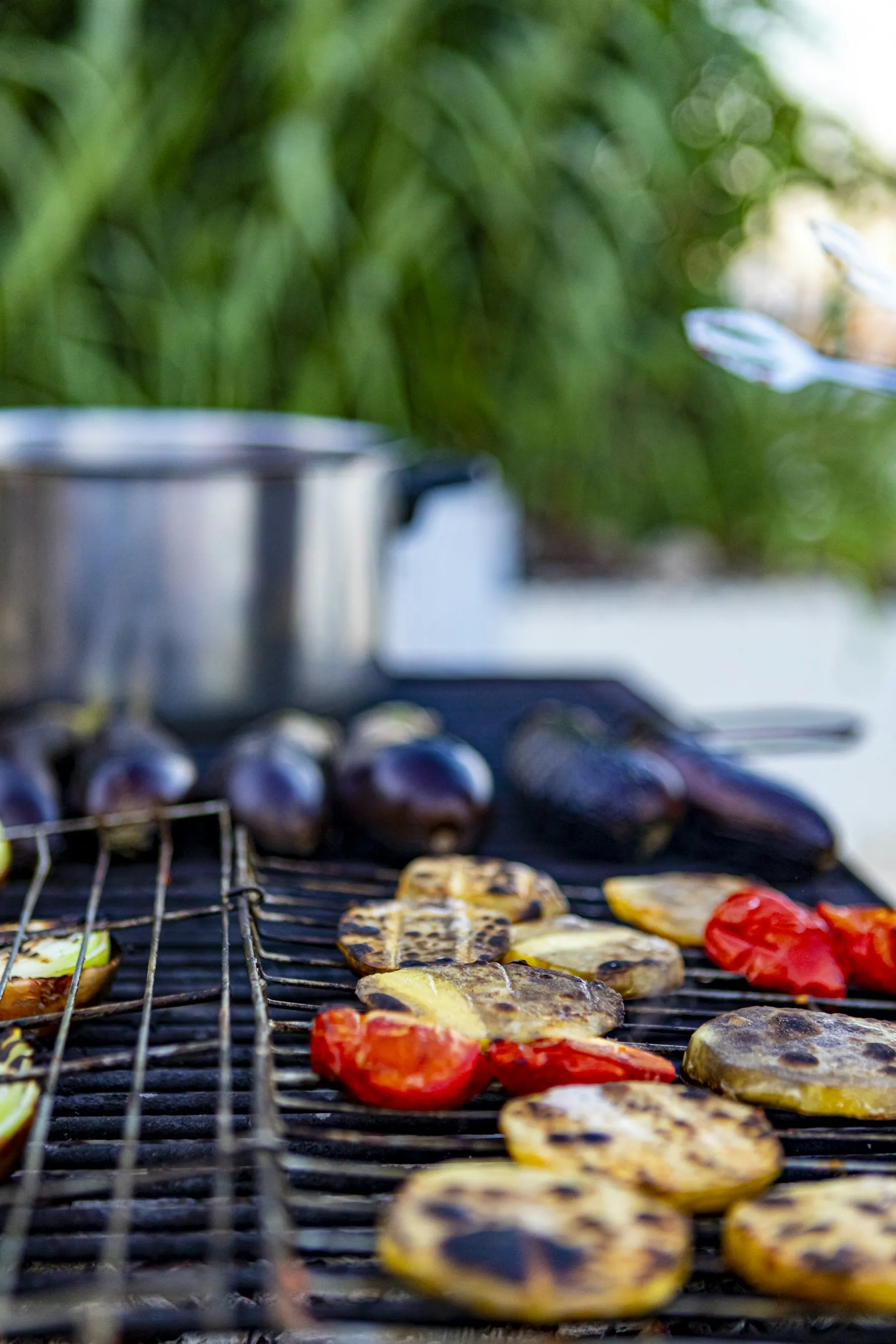 Eggplant, zucchini and tomatoes charring on an open grill grate